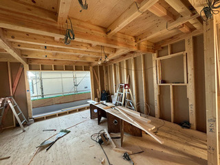 IMG_4468web.jpg