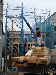 P1000603web.jpg