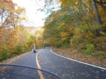 P1020238web.jpg