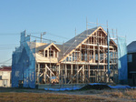 P1020768web.jpg