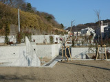 P1040858web.jpg