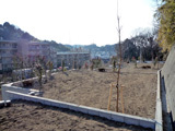P1040864web.jpg
