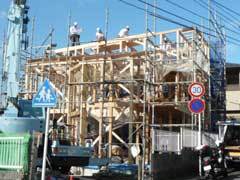 P1050555web.jpg
