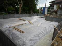P1050608web.jpg