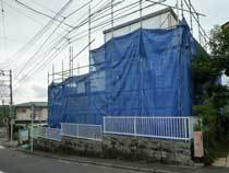P1050688web.jpg