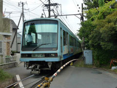P1090890web.jpg