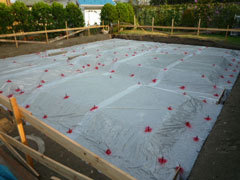 P1100466web.jpg