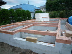 P1100628web.jpg