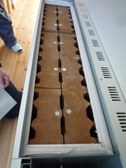 P1110057web.jpg