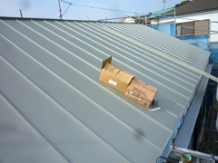P1120116web.jpg