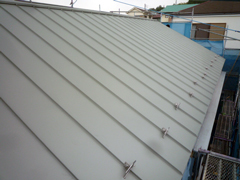 P1120177web.jpg
