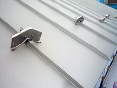 P1120181web.jpg