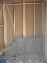 P1120226web.jpg