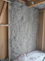P1120230web.jpg