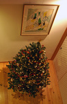 PICT2901web.jpg